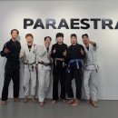 파라에스트라양주