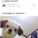 춘천 여행 코스 추천 : KT&amp;G 상상마당, 의암호 흔들 다리 입장료, 주차 정보