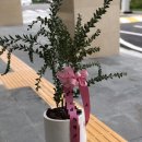 서송요양병원 이미지