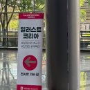 2026 서울일러스트코리아 후기