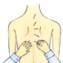 나무그늘한의원 이미지