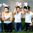 2PM 카카오 검색결과
