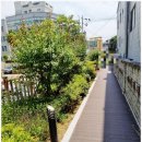 세정세무회계 네이버블로그