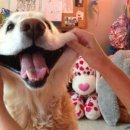 라파엘농장 이미지