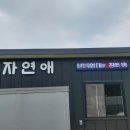 임실흑염소자연애 이미지