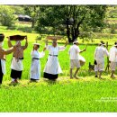 장뜰두레놀이 이미지