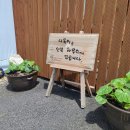 공삼번지다육농원 이미지