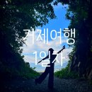 오월이해물칼국수 | [경남/거제] 거제여행 1일차/거제파노라마케이블카 오쓰리 쌤김밥 바람의언덕 군포땅굴 만선호해물칼국수