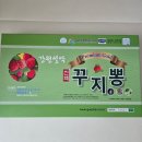 강원설악 | 어버이날 선물추천! 강원설악 꾸지뽕즙 꾸지뽕진액 솔직후기💛