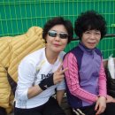 죽변운동장 테니스장 Daum카페
