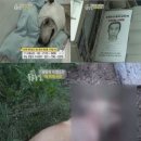 황구농장 이미지