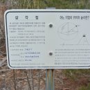 점꼴 이미지