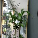 수지힘찬한의원 이미지