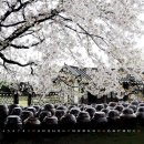 북대구우체국 이미지