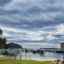 낙타와돌고래 이미지