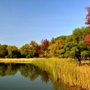 [1급과정] 동화구연지도사 1급 이미지