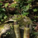 주식회사 케이브랜드 이미지