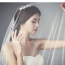 보떼대명