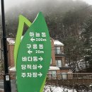 [강릉/휴양림] 임해 자연 휴양림 / 바다 보이는 자연 휴양림 / 하늘동 후기