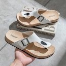 541 이미지