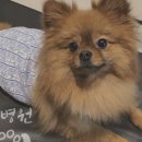 노아 동물병원 이미지