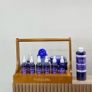 몽스빌리지 이미지