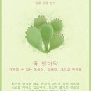할렐루야호떡 네이버블로그