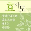 아프리카에 2차 우물 파기를 도전중입니다. 1000만원 넘었습니다 . 효사모님들의 사랑의 마음을 조금만 더 담아주세요 이미지