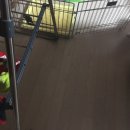 우리집 멍뭉 이미지