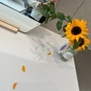 마라아동가족상담센터