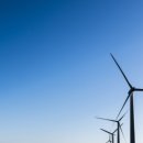 리오&코 이미지