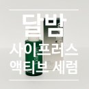 달밤 | 편백수세럼 추천 달밤 사이프러스 액티브 세럼 후기 미백효과