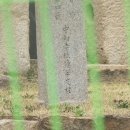 유유실업 Daum카페