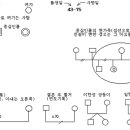 가계도와 생태도 이미지