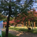 수승대관광지 야영데크 네이버블로그