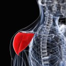 보문한의원 이미지