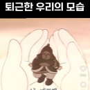 화니안경 | 12월 일상 #2 (몬탁, 애플워치11 티타늄, 미조리, 도비사, 스킴스, 야키토리초리, 하시라)