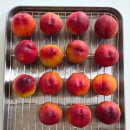 매향농장 이미지