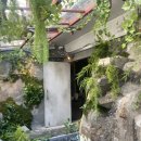 식스센스다이닝 | 울루울루 성수 후기｜식스센스 시티투어 시즌2 이준영편 나온 이색 맛집 (원시부족의 잔칫상)