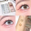 캣데이 | [I-DOL LENS] 아이돌렌즈 배드캣 원데이 샴 베이지 및 이집션 그레이 솔직 후기 착용샷 비교