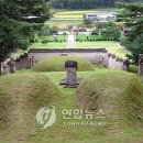 거제타임즈주 | 청송심씨