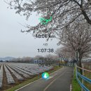 건강 | 2026.4.9. 7번째 건강달리기 후기