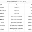 정량분무식 흡입기 이미지