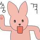 베일즈광주 이미지