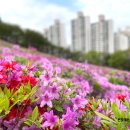 던킨산본수리점 네이버블로그
