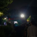 극단 푸른가시 아비 | 2024 울산 태화강대숲 납량축제 기간 예매 호러트레킹 후기