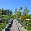 대교어린이공원 이미지