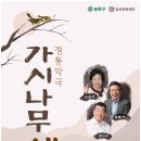 악극 가시나무새 티스토리