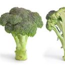 브로콜리 칼로리 효능 영양성분과 부작용 유통기한 이미지