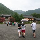 표충사 2 이미지